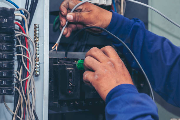 Best Ceiling Fan Installation Electrician  in Carthage, TN